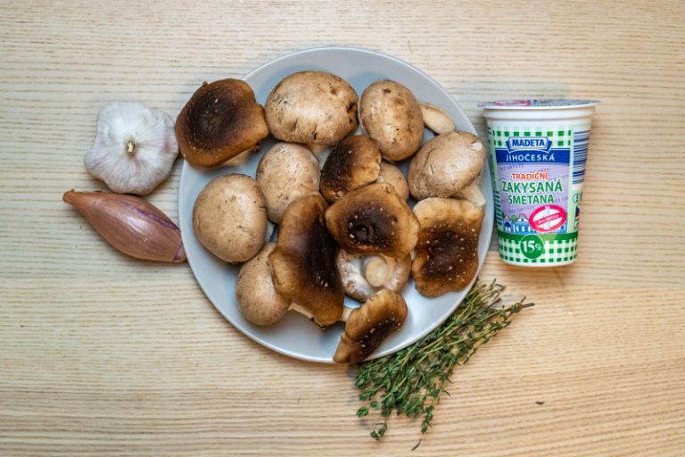 Easy & Creamy Mushroom Sauce Without Cream Recipe - No Frills Kitchen