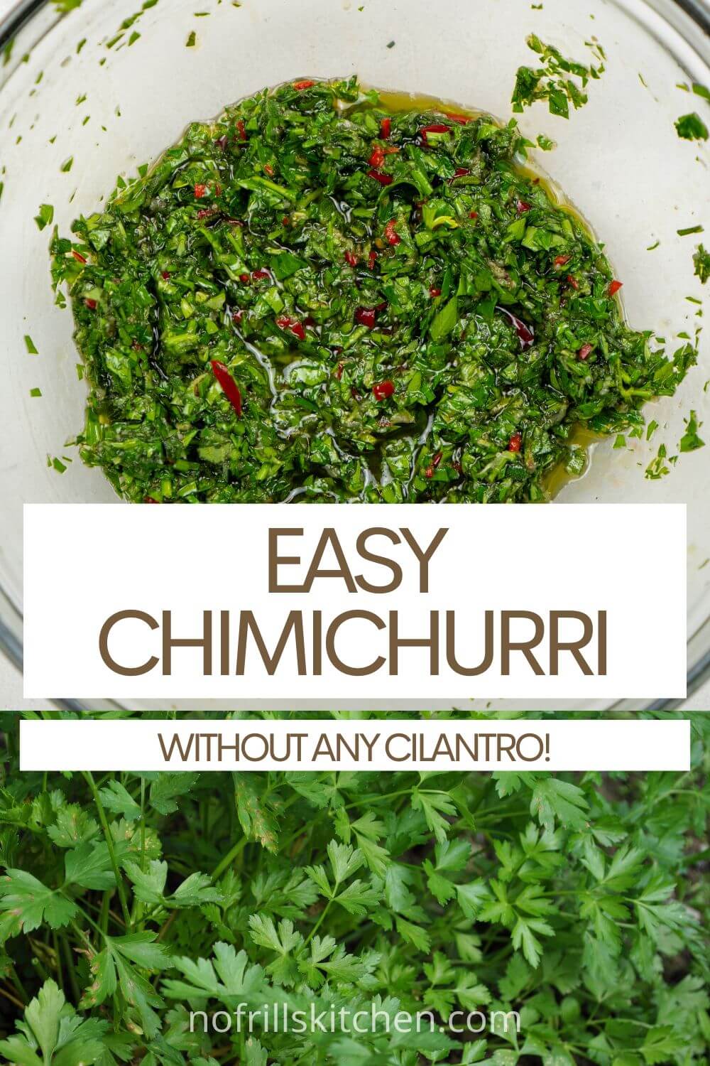 Simple & Quick Chimichurri Sauce Without Cilantro Recipe No Frills
