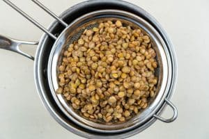 Cooking the lentils