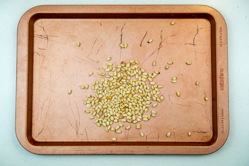 Toasted pine nuts